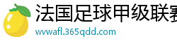 法国足球甲级联赛